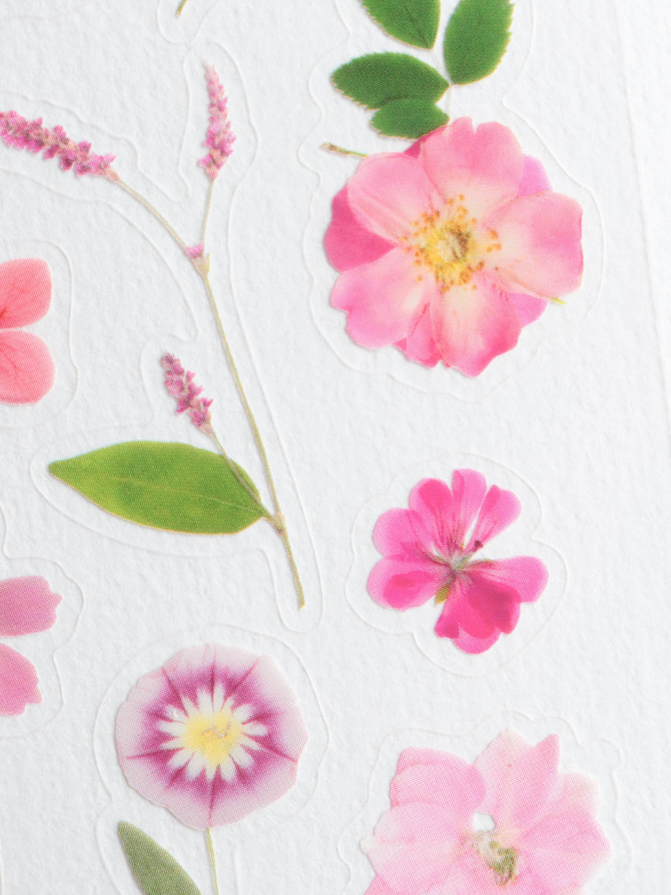 Détail stickers pétales rouges et roses, effet fleur séchée réaliste