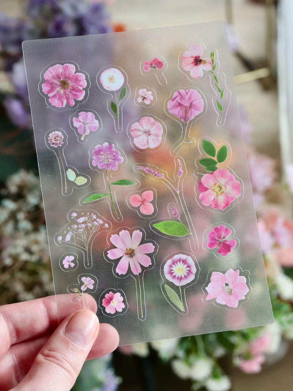 Planche de 21 Stickers de fleurs pressées – herbier nPassion (rose & rouge)