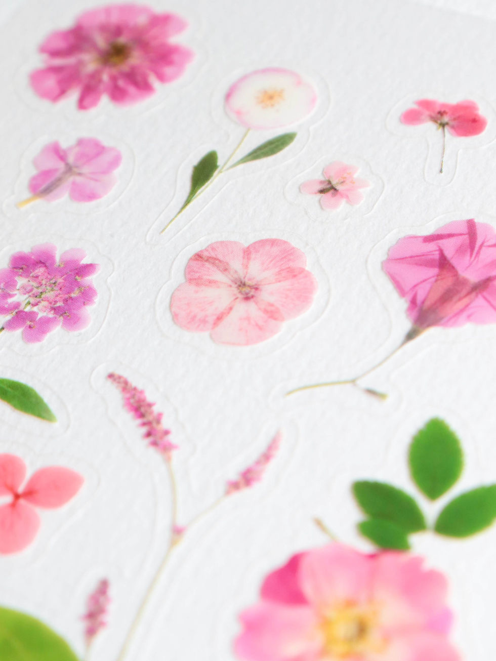 Planche de 21 Stickers de fleurs pressées – herbier nPassion (rose & rouge)