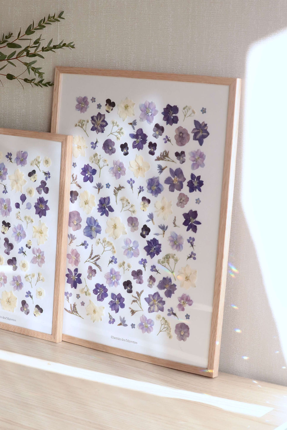 herbier de fleurs pressées chemin des marettes