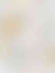 herbier de fleurs pressées chemin des marettes