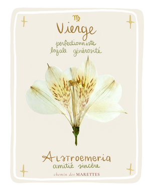 Vierge signe astrologique