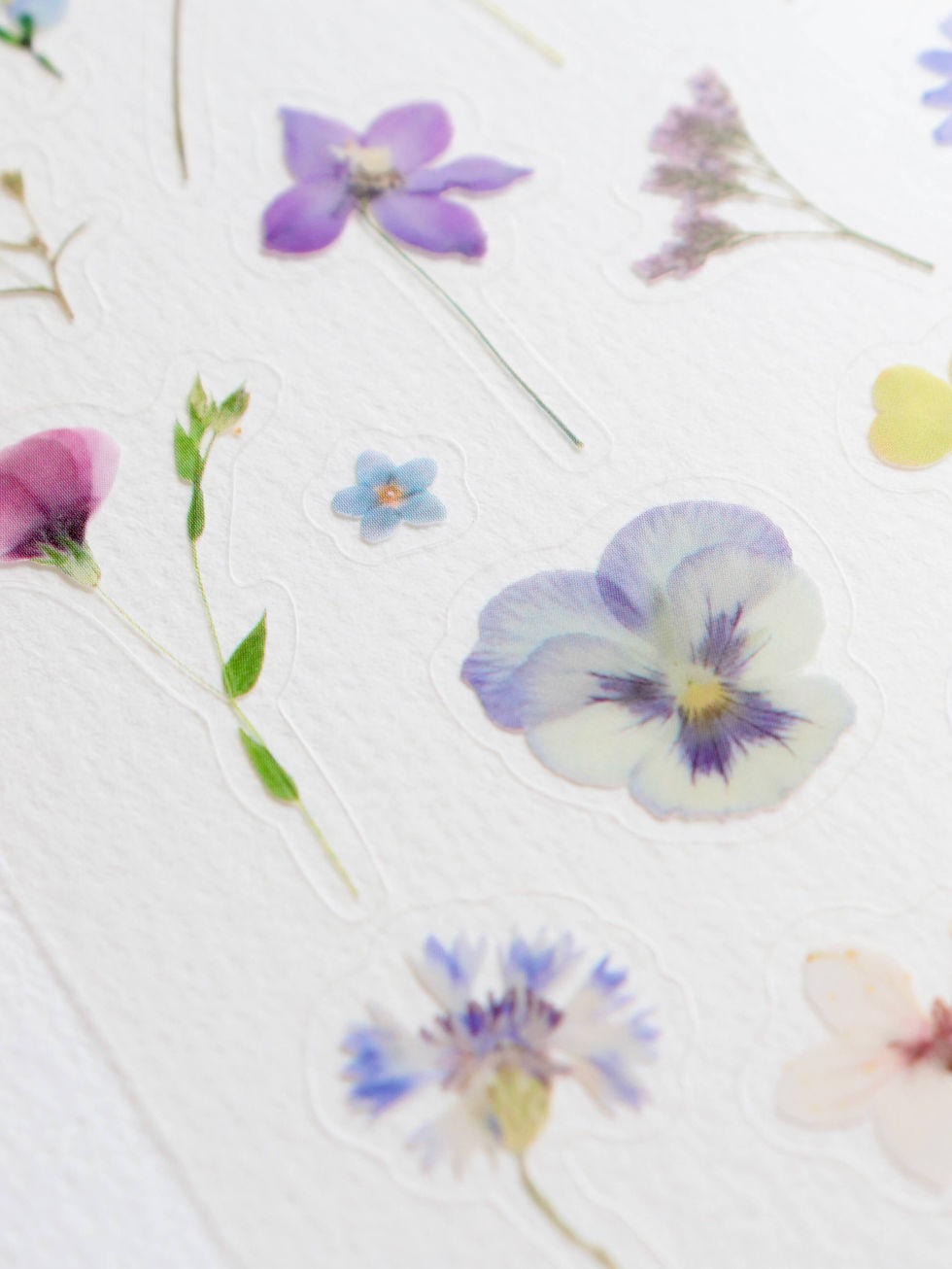 planche Stickers de fleurs pressées – Crépuscule (bleu & violet)