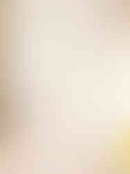 affiche herbier planche botanique fleurs pressées chemin des marettes