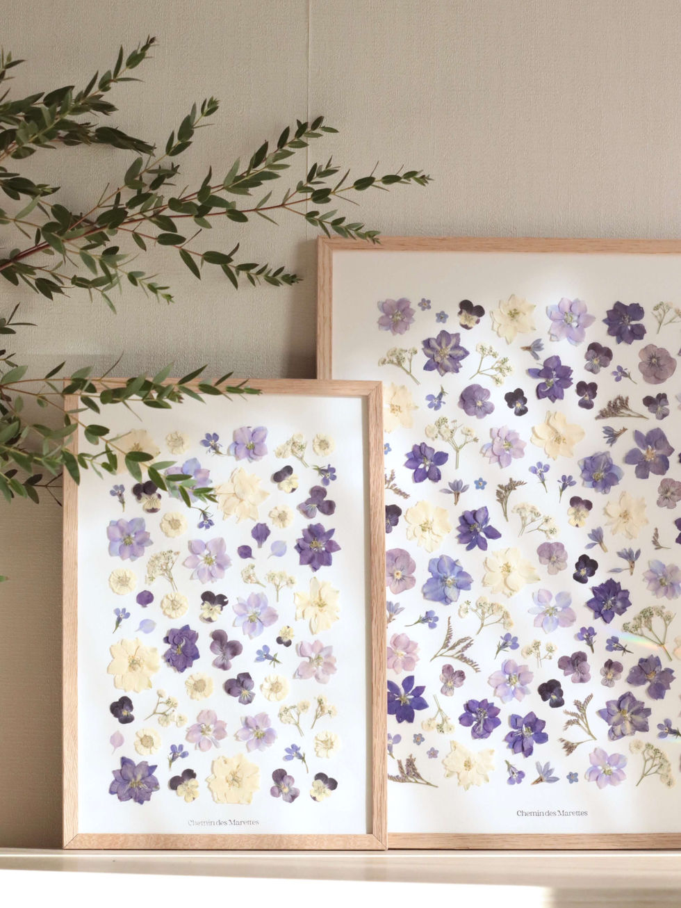 herbier de fleurs pressées chemin des marettes