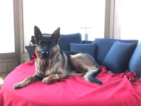 Reclaiming His Chair