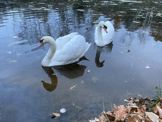 Just the Two of Us