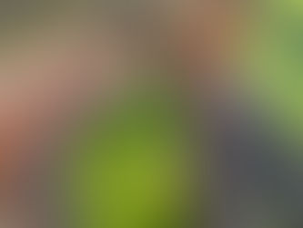 Your crack is showing 🤦🏼♀️