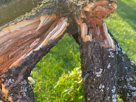 Your crack is showing 🤦🏼‍♀️