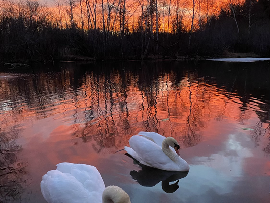 Stunning Sunrise