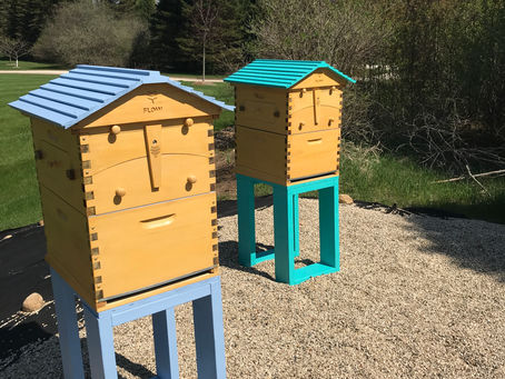 Hives are Out ...waiting on the Bee's
