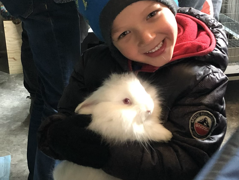 Bunnies & Babies