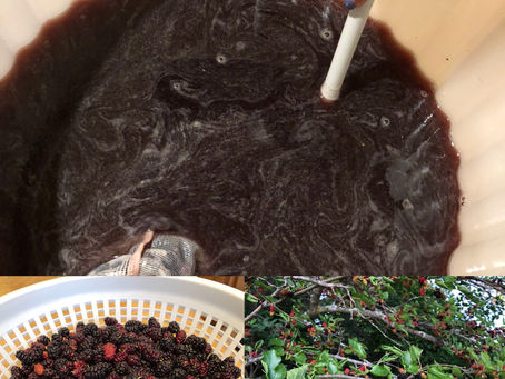 Magical Mulberry Wine