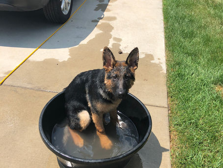 Bucket Bath