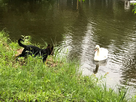 Face Off...Delilah & Uli