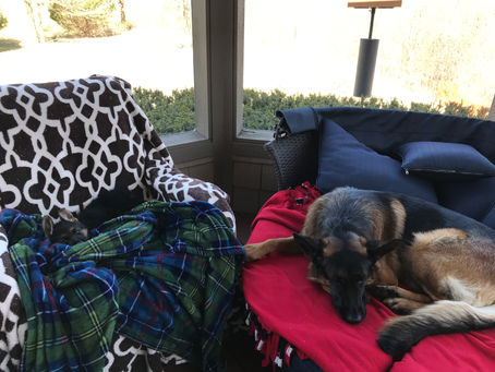 Snoozing on the Porch