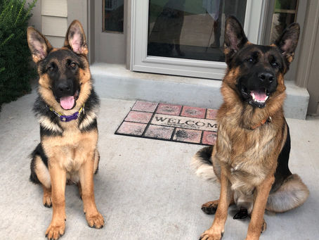 The Welcoming Committee