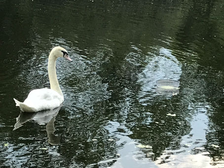 What am I suppose to do with that??