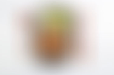 Cara Hemat Makan di Hokben dengan Nex Card