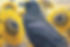 XL: DTP007 - Raven + Sunflowers