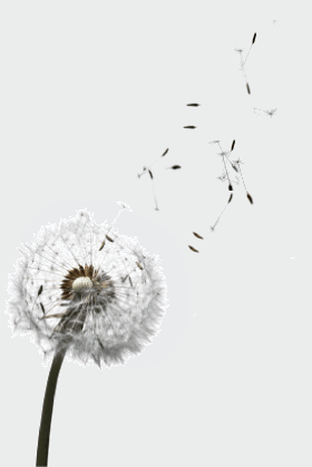 SPREADABILITY