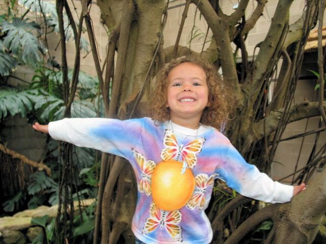 Maya Butterfly