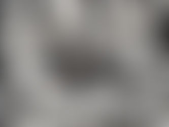 筋肉の真実を解き明かせ!—美しき戦士が語る、究極の分割法—