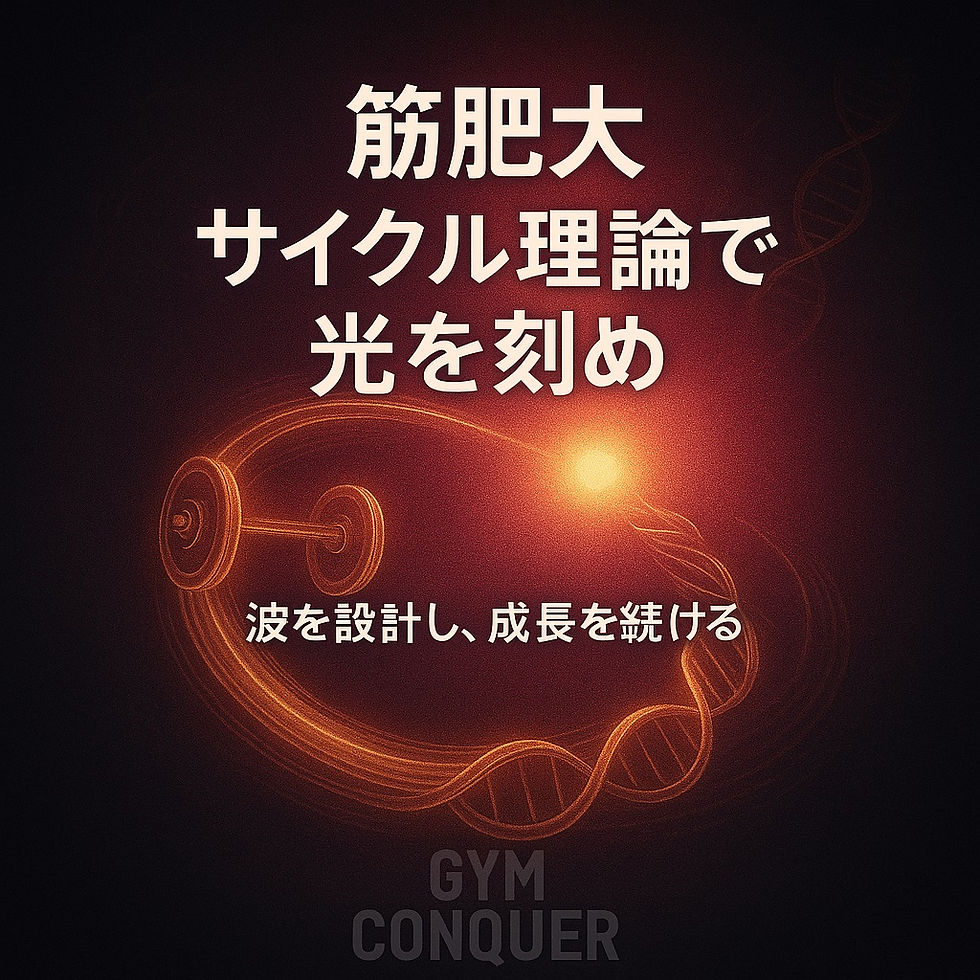 筋肥大 サイクル理論で光を刻め