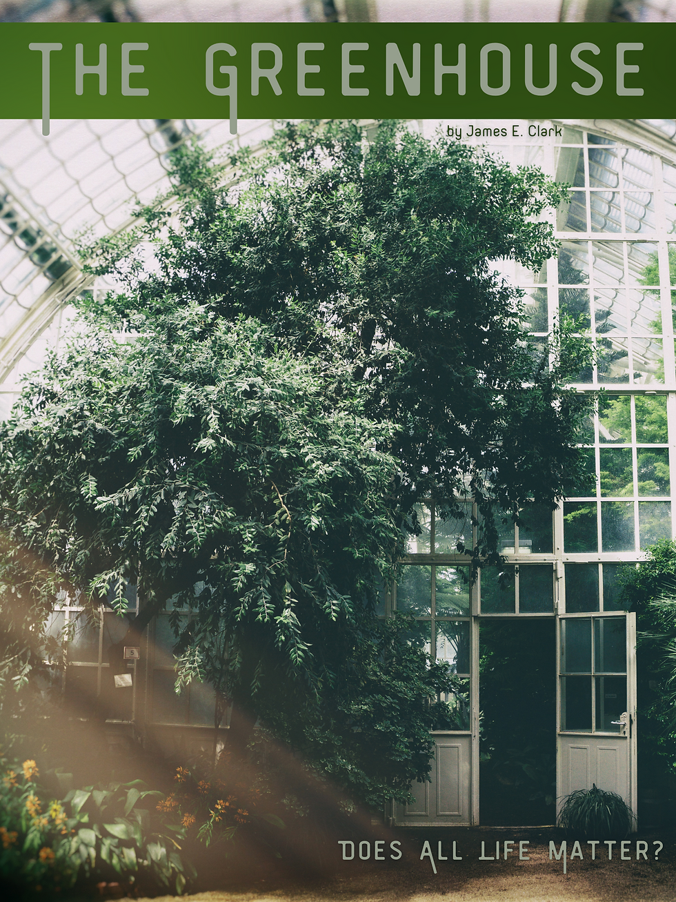 The Greenhouse (5).png