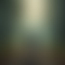 Navigating Freedom: How to Make Authentic Decisions Without External Influence