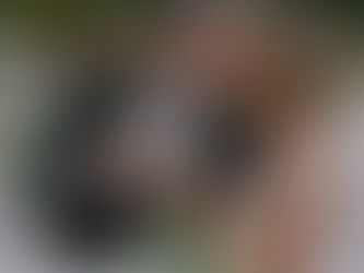 When Wedding Costs Are at an All-Time High: How to Decide What Matters Most