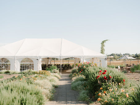 How to Choose the Right Wedding Venue in Oregon: 6 Key Considerations