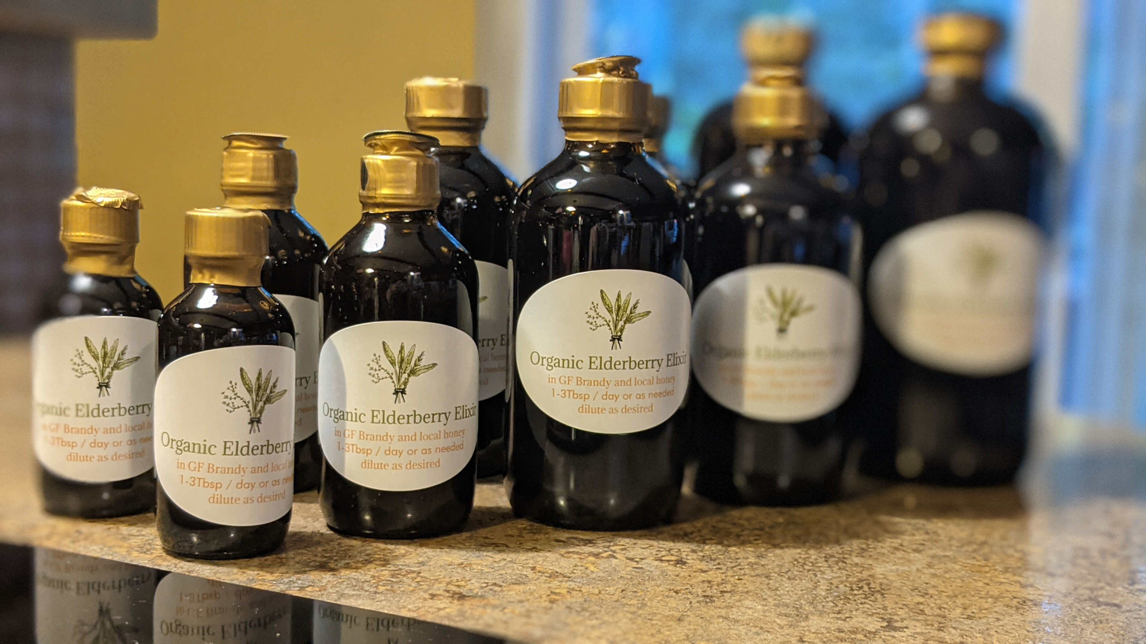 Elderberry Elixir - 16oz