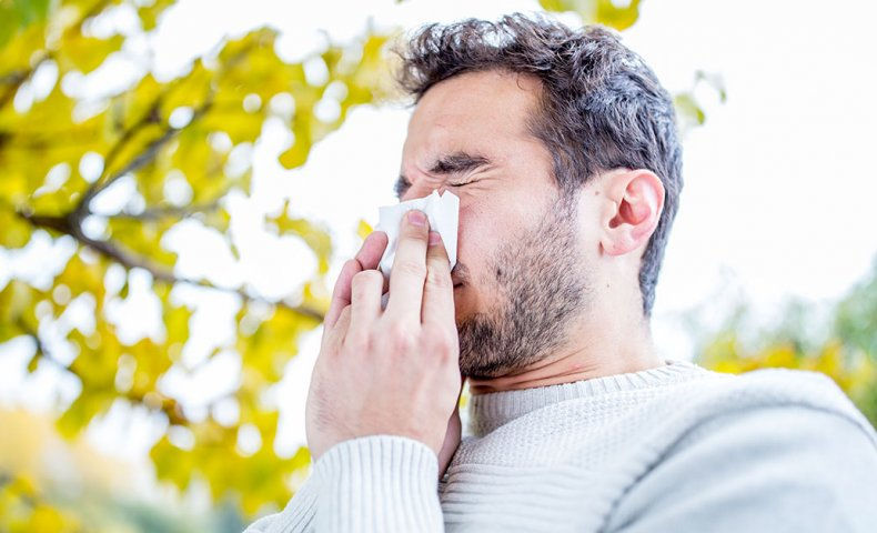 Thumbnail: Allergy Relief Tea