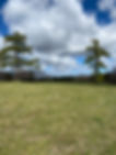 arkofa land 1.jpg