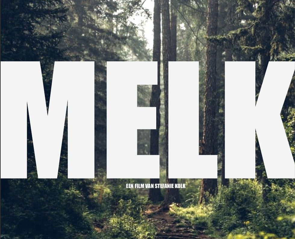 Art Direction Melk