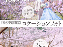 桜フォトウェディング 受付中!