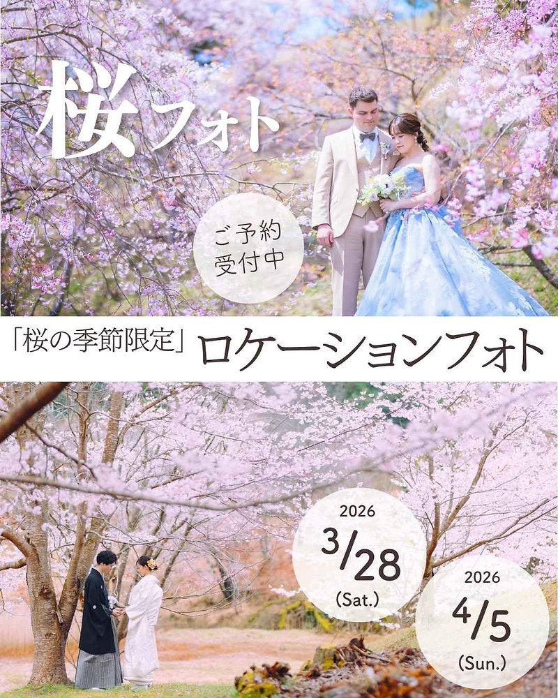 桜フォトウェディング 受付中！