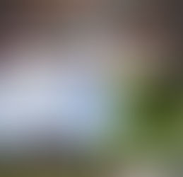 2026/1/25（日）ブライダルフェア開催のお知らせ