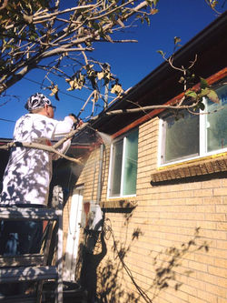 Power Washing