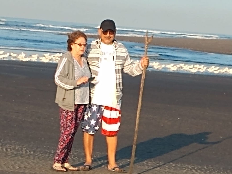 Caminatas en la orilla de la playa