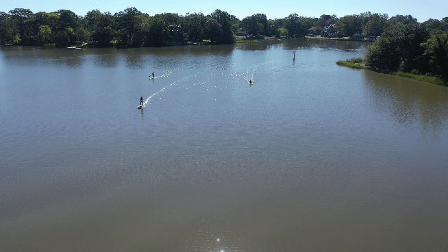 E FIN DAY AT DOLSEY KAYAK A F.gif