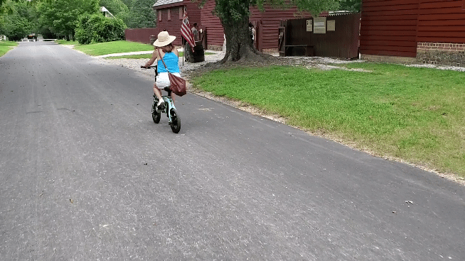 Electric Bikes, 100  STOCK  Dolsey  757 423 3037