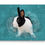 Thumbnail: Custom Rabbit portrait on canvas Splashy style