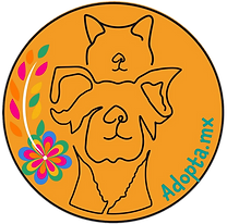 logo adopta mx.png