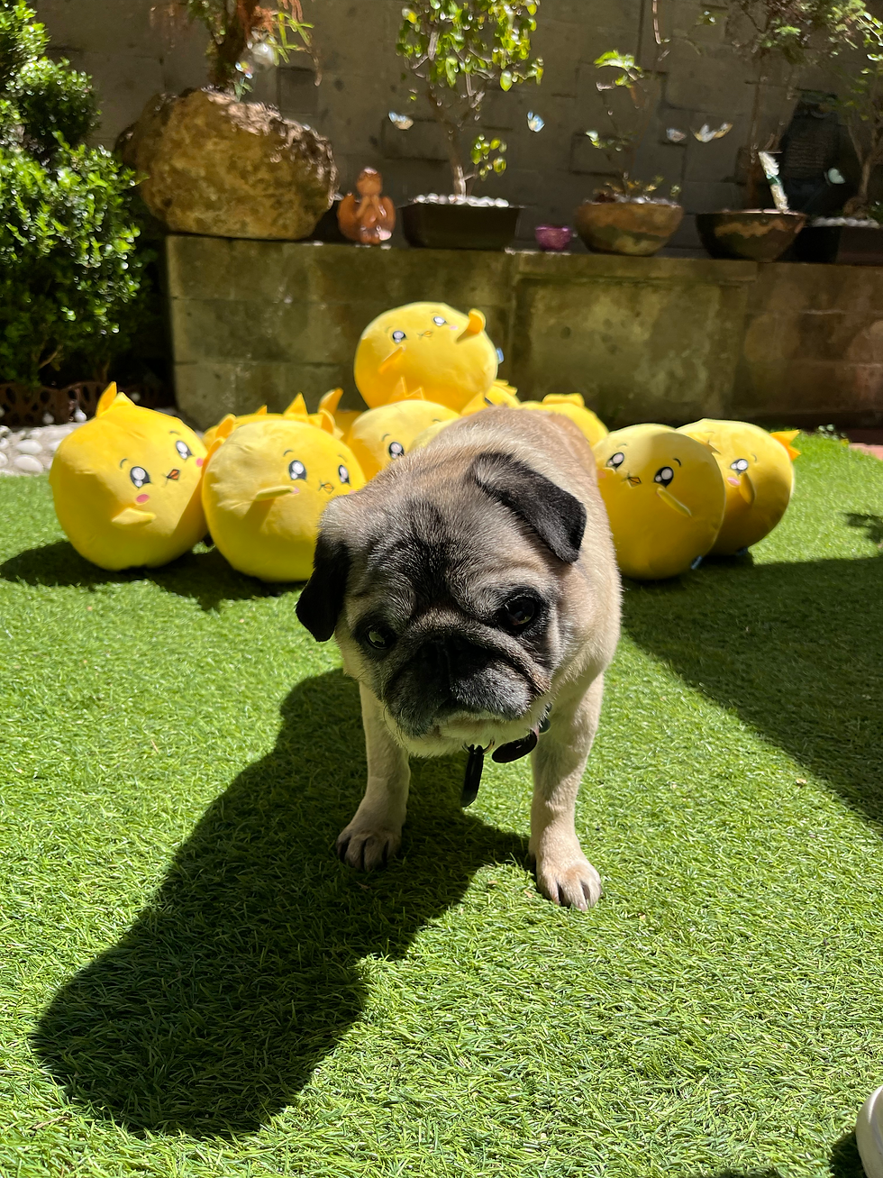 Miniatura: Peluche CARMELO | CARMELUCHE | 25cm