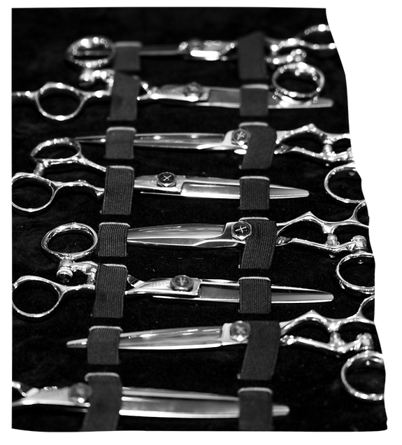 Set of professional haircutting shears displayed in a roll-up case for Ergo-Nami® hands-on training