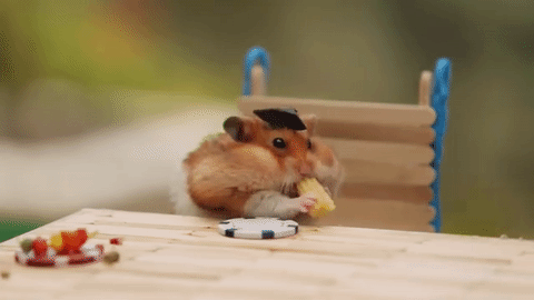 Reynolds - Tiny Hamsters