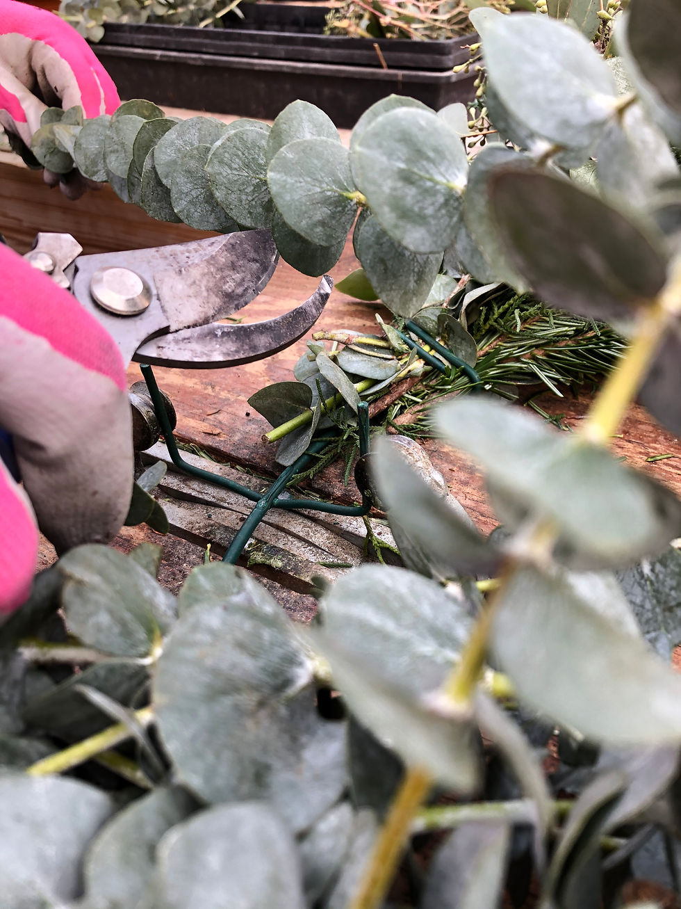 Thumbnail: Wreath Cupid - Silver Hoop with Greens and Eucalyptus