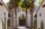 mwier_kirkwood_LSV_extdtl1_v1_webres.jpg